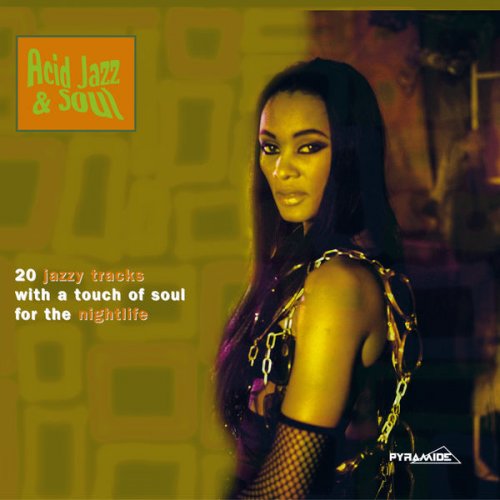 VA - Acid Jazz & Soul : 20 Jazzy Tracks With a Touch of Soul for the Nightlife (2009)