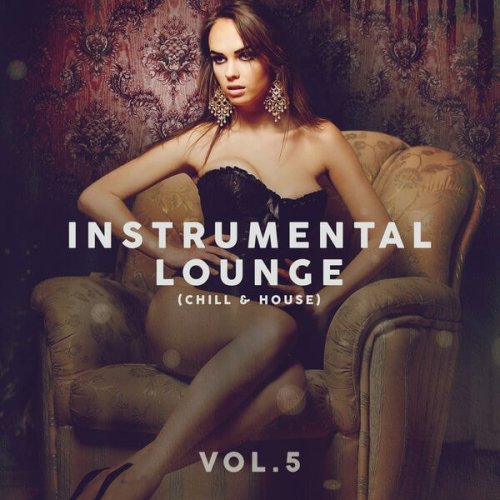 VA - Instrumental Lounge (Chill & House), Vol. 5 (2024)