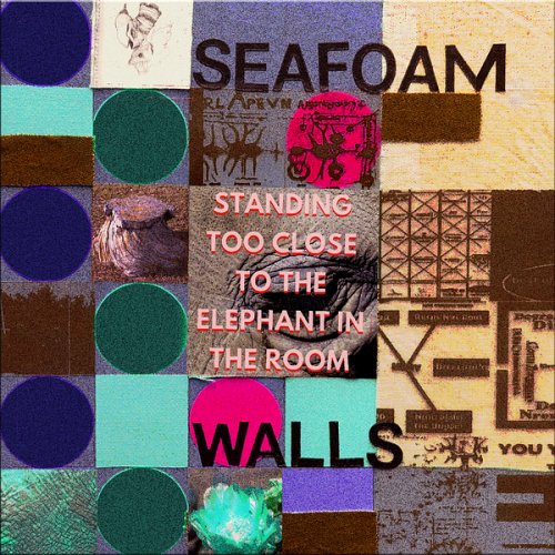 Seafoam Walls - Standing Too Close to the Elephant in the Room (2024) Hi-Res