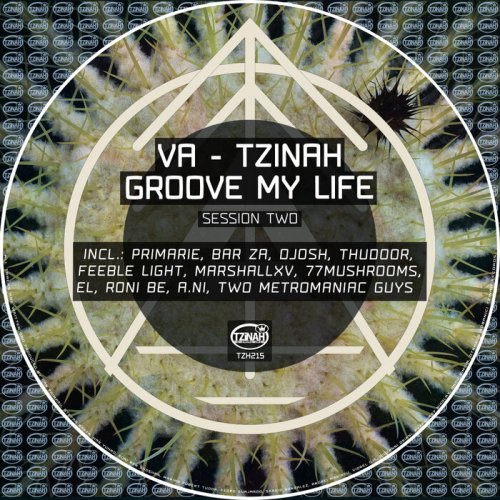 VA - Tzinah Groove My Life Session Two (2024)