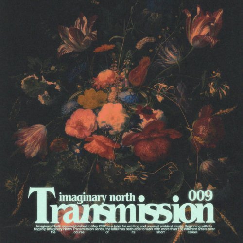 VA - Imaginary North Transmission 009 (2024)