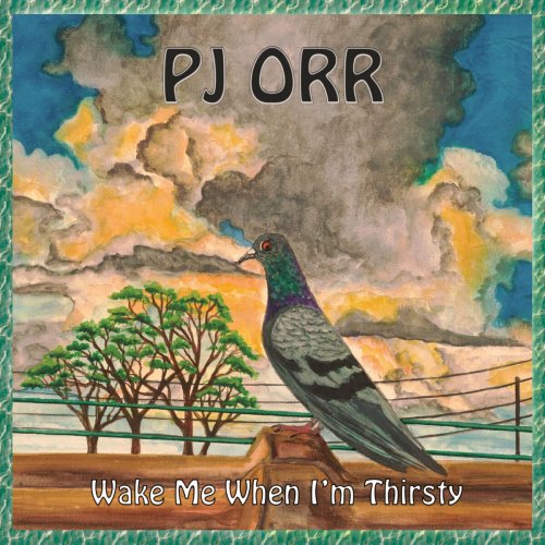 PJ Orr - Wake Me When I'm Thirsty (2024)