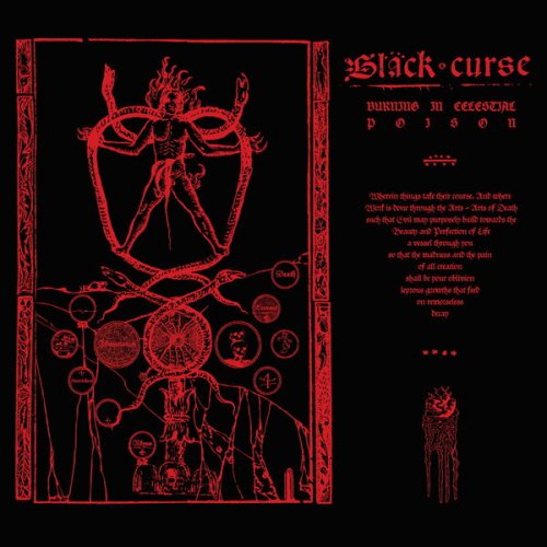 Black Curse - Burning in Celestial Poison (2024) Hi-Res