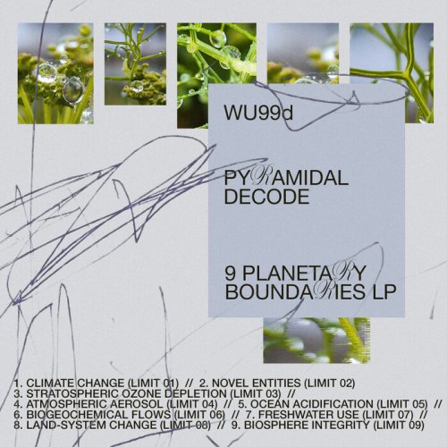 Pyramidal Decode - 9 Planetary Boundaries (2024)