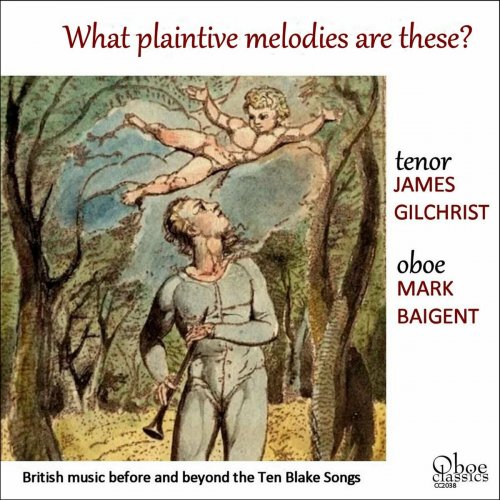 Mark Baigent - What plaintive melodies are these? (2024) Hi-Res