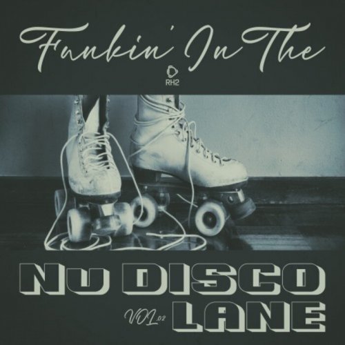 VA - Funkin' in the Nu Disco Lane, Vol.02 (2024)