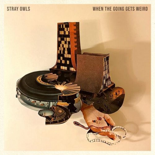 Stray Owls - When The Going Gets Weird (2024) Hi-Res