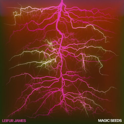 Leifur James - Magic Seeds (2024)