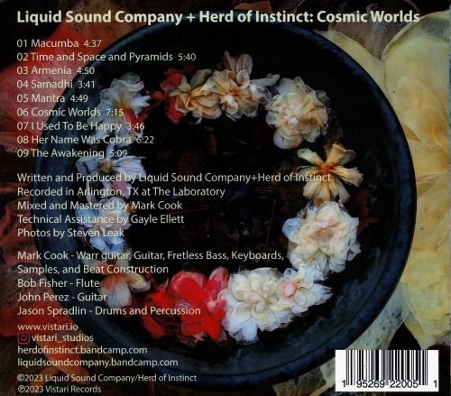 Liquid Sound Company + Herd Of Instinct - Cosmic Worlds (2023)