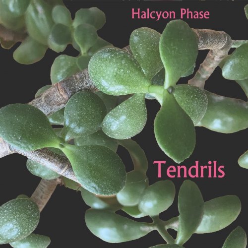 Halcyon Phase - Tendrils (2021)