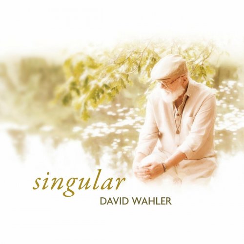 David Wahler - Singular (2024)