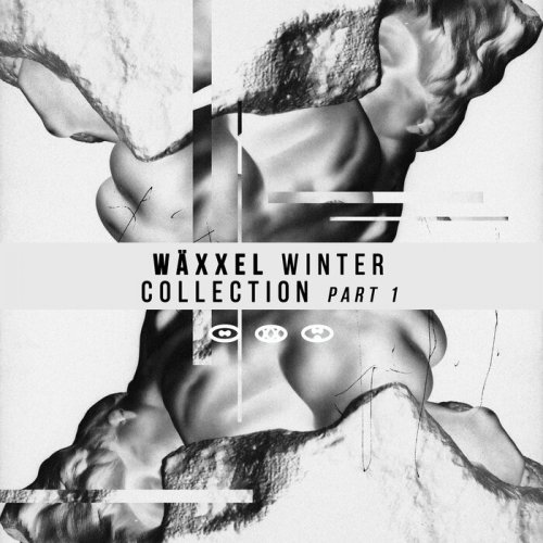 VA - Wäxxel Winter Collection Part 1 – Digital (2024)