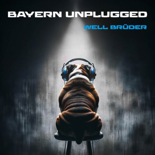 Die Well-Brüder - Bayern Unplugged (2024) Hi-Res