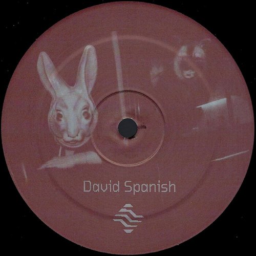 David Spanish - Behind The Gates (2024)