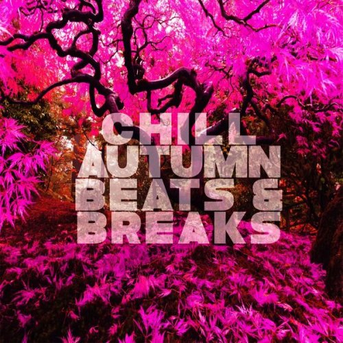 VA - Chill Autumn Beats & Breaks (Relaxing Vibes) (2024)