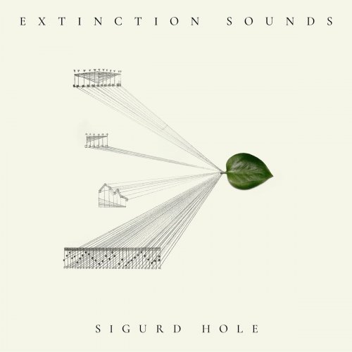 Sigurd Hole - Extinction sounds (2024) Hi-Res