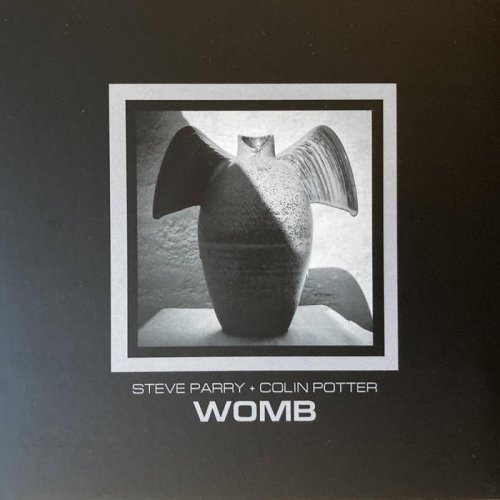 Steve Parry / Colin Potter - Womb (2024)