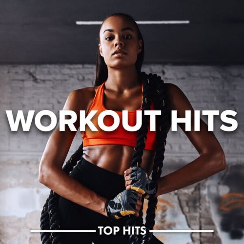 VA - WORKOUT HITS (2024)