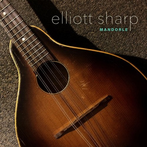 Elliott Sharp - Mandorle - New Music for Mandolin (2024)