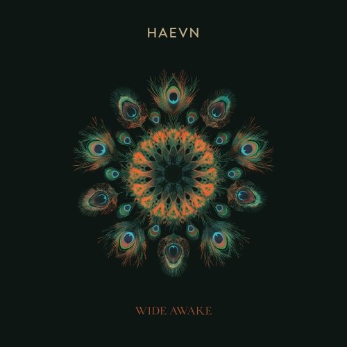 HAEVN - Wide Awake (2024) [Hi-Res]