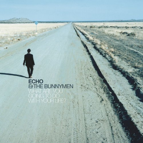 Echo And The Bunnymen - What Are You Going To Do With Your Life? (Remastered & Expanded) (2024) [Hi-Res]