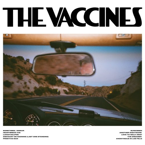 The Vaccines - Pick-Up Full Of Pink Carnations (2024) [E-AC-3 JOC Dolby Atmos]