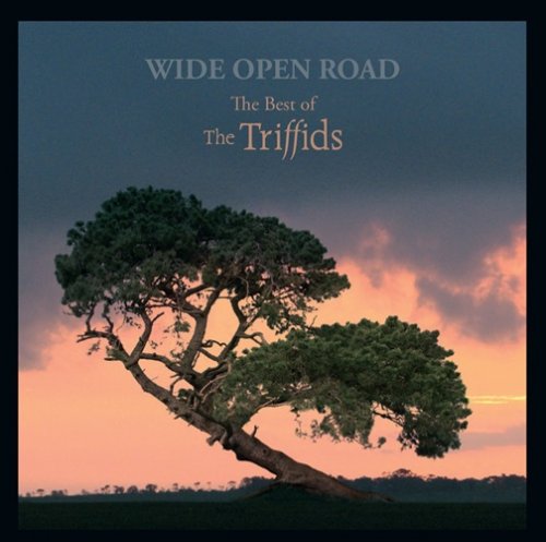 The Triffids - Wide Open Road - The Best of the Triffids (2016)