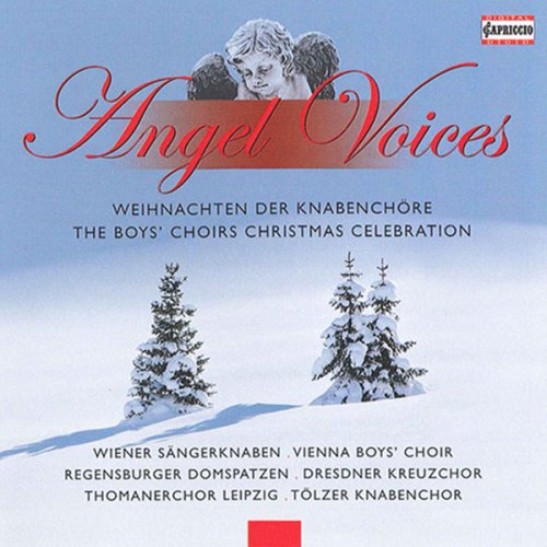 Wiener Sängerknaben, Regensburger Domspatzen, Dresdner Kreuzchor, Thomanerchor Leipzig, Tölzer Knabenchor - Angel Voices: The Boys’ Choirs Christmas Celebration (2010)