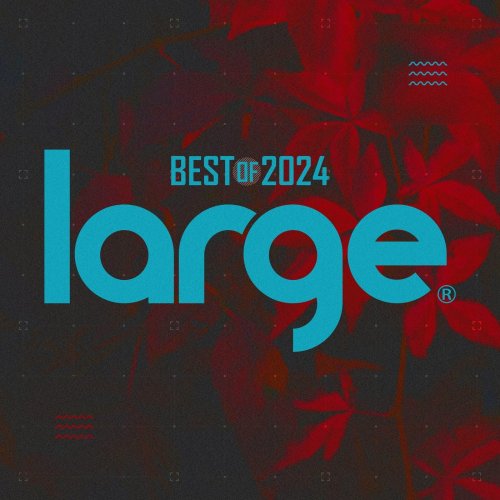 VA - Large Music Best of 2024 (2024)