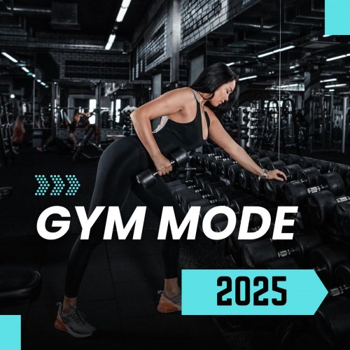 VA - Gym Mode 2025 (2024)