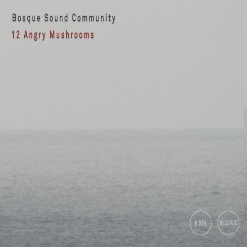 Bosque Sound Community - 12 Angry Mushrooms (2024) [Hi-Res]