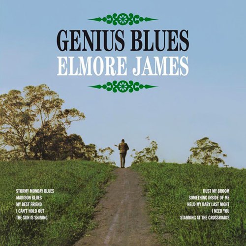 Elmore James - Genius Blues (2014)