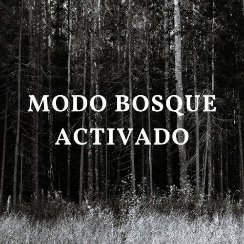 VA - Modo Bosque Activado (2024)