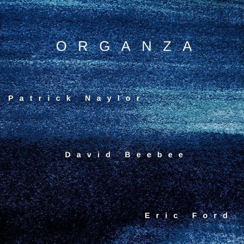 Patrick Naylor - Organza (2025) [Hi-Res]