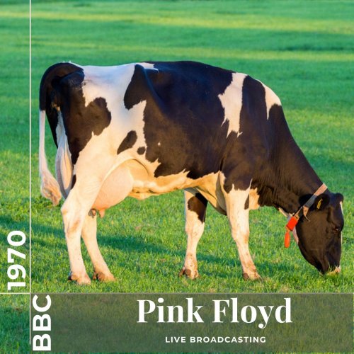 Pink Floyd - Pink Floyd: Live at BBC 1970 (2023)