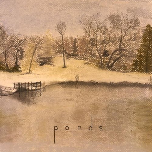 Ben Parrish - Ponds (2025)