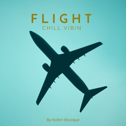 VA - Flight, Chill Vibin' (2025)