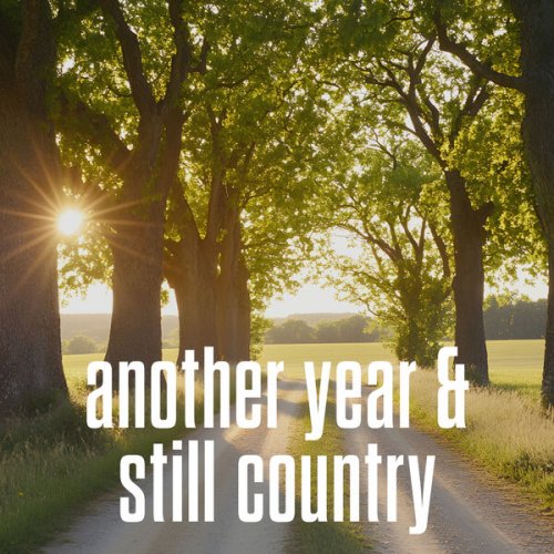 VA - another year & still country (2025)