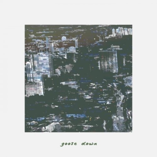 Goose Down - Material Needs (2025)