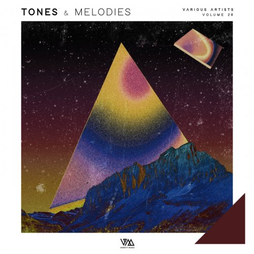 VA - Tones & Melodies Vol. 28 (2025)