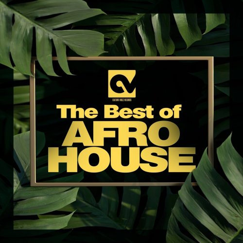 VA - Best of AFRO HOUSE (2025)