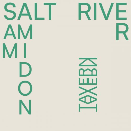 Sam Amidon - Salt River (2025) [Hi-Res]