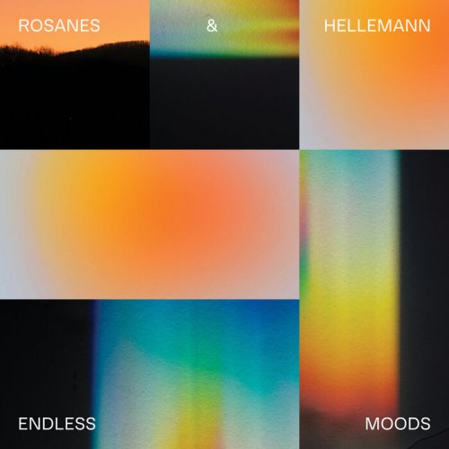 Noah Rosanes & Peter Hellemann - Endless Moods (2025)