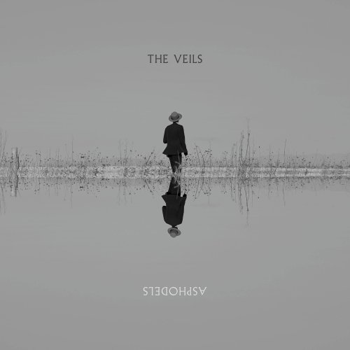 The Veils - Asphodels (2025) [Hi-Res]