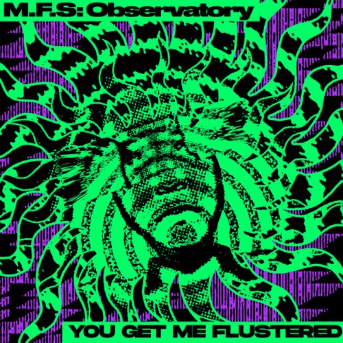 M.f.s: Observatory - You Get Me Flustered (2025)