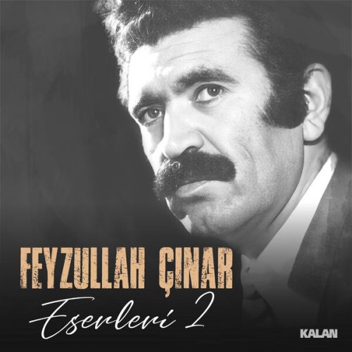 Various Artists - Feyzullah Çınar Eserleri 1-2 (2024/25) [Hi-Res]