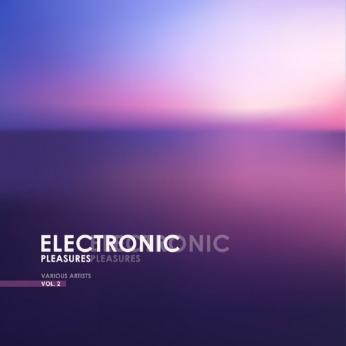 VA - Electronic Pleasures, Vol 2 (2025)