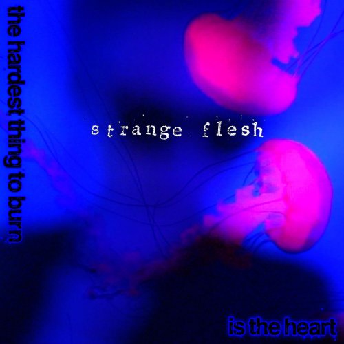 Strange Flesh - The Hardest Thing To Burn Is The Heart (2024) Hi-Res