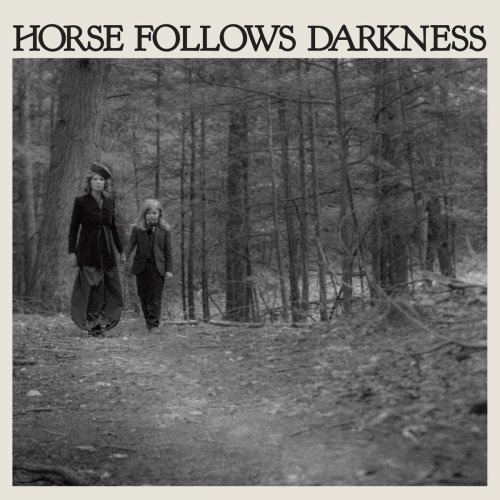 Delia Gonzalez - Horse Follows Darkness (2017) Hi-Res