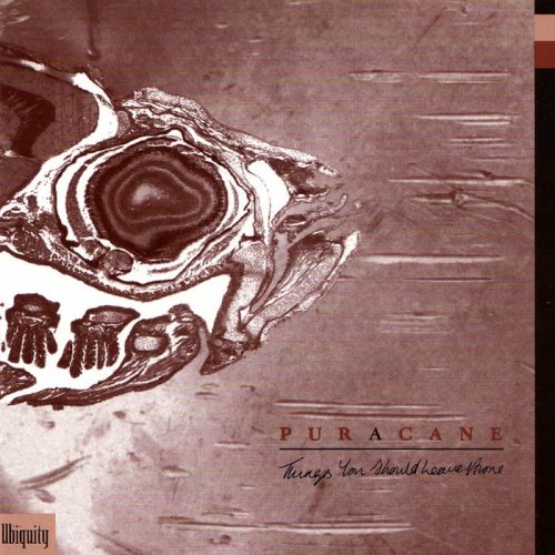 Puracane - Things You Should Leave Alone (2000)